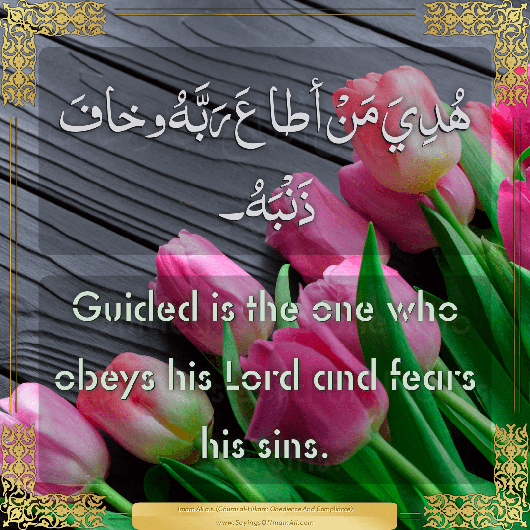 Guided is the one who obeys his Lord and fears his sins.